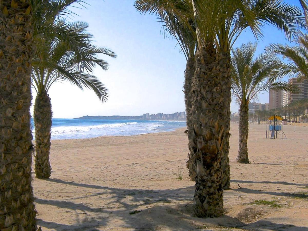 Estudio Playa Muchavista El Campello Ngoại thất bức ảnh